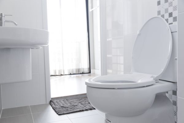 Cost of Toilet Relocation in Shawnee